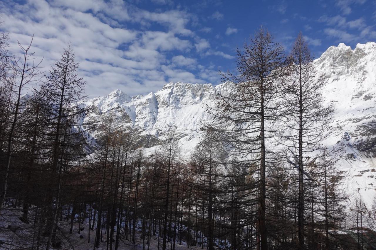 Erikzang - Cervinia Ski In Ski Out Apartments 布勒伊-切尔维尼亚 外观 照片